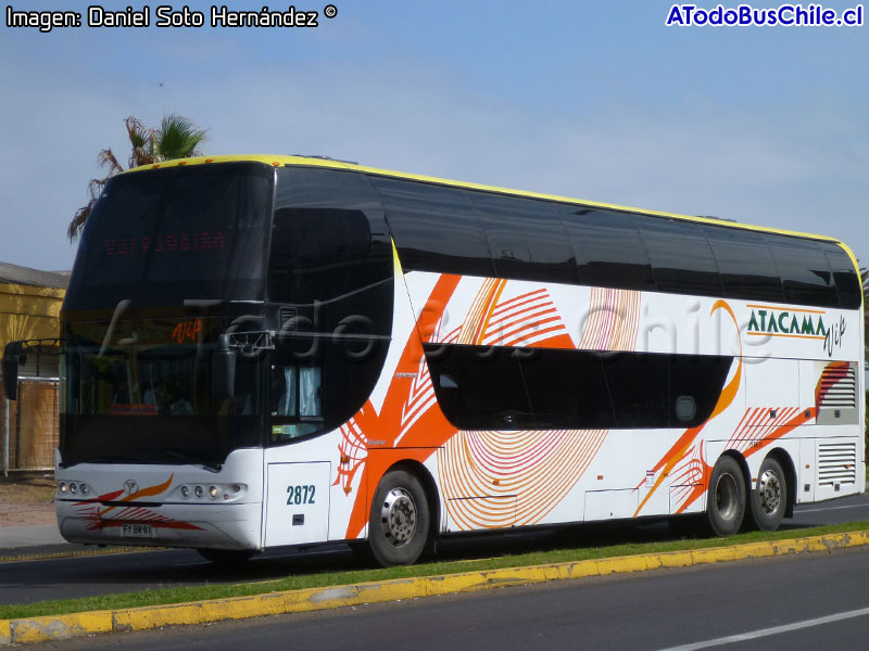 Young Man Skyliner JNP6137S / Atacama Vip
