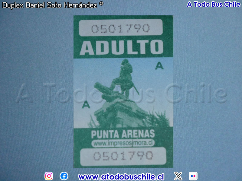 Boleto Adulto Red Punta Arenas de Movilidad (S.T. Vía Alerce S.A.)