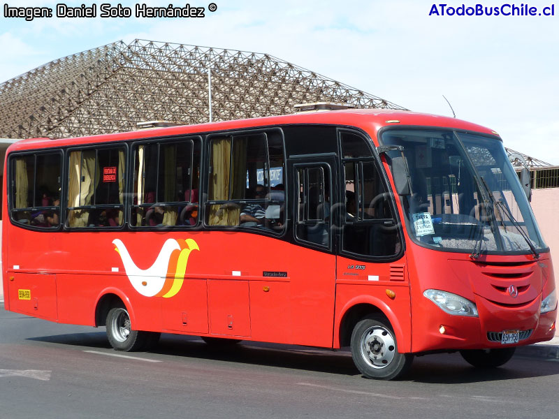 Drimbus / Mercedes Benz LO-915 / Transportes Carmen S.R.L. (Perú)