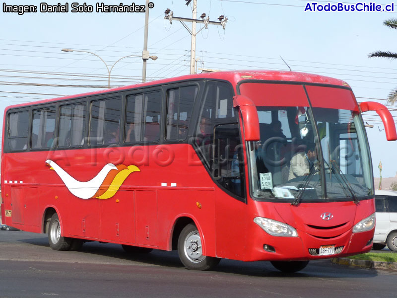 Drimbus / Hyundai AeroTown / Transportes Carmen S.R.L. (Perú)