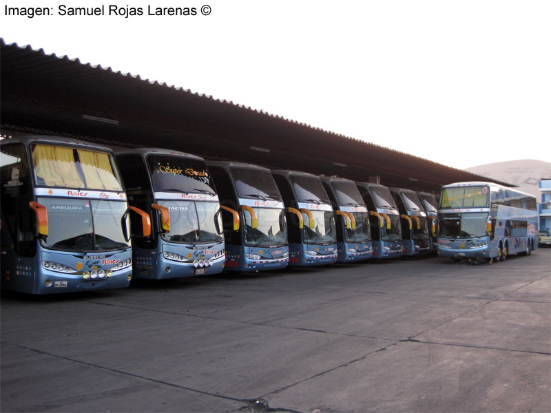 Vista Parcial Terminal Transportes Flores Hnos. (Tacna - Perú)
