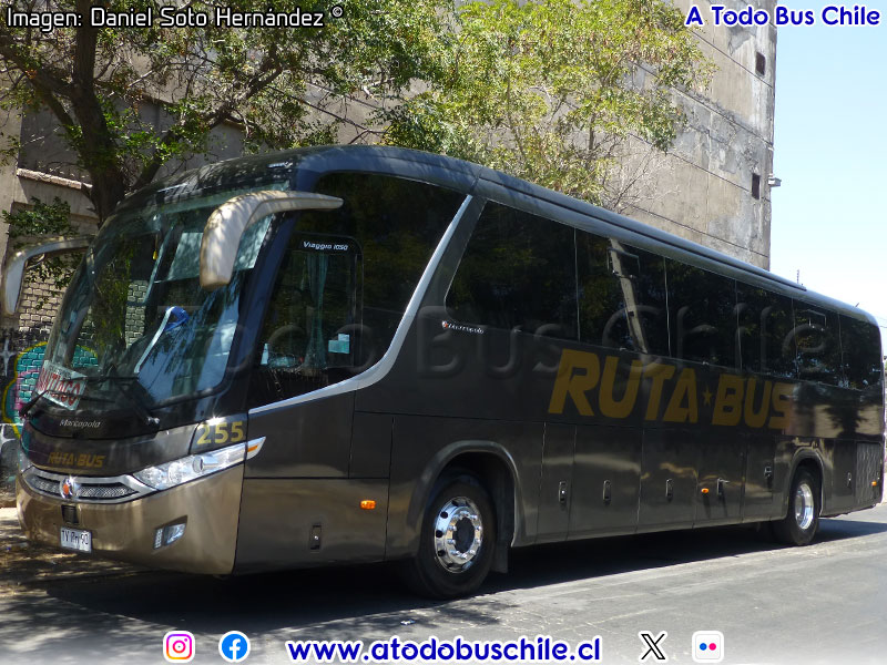 Marcopolo Viaggio 1050 / Scania K-410CB eev5 / Ruta Bus 78