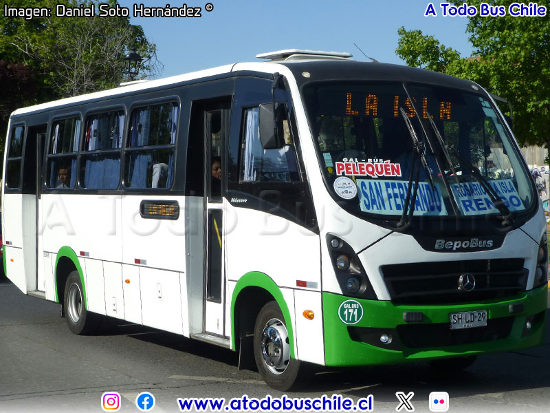 BepoBus Nàscere / Mercedes Benz LO-916 BlueTec5 / Gal Bus