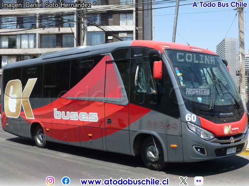 Marcopolo Senior / Mercedes Benz LO-916 BlueTec5 / OK Buses