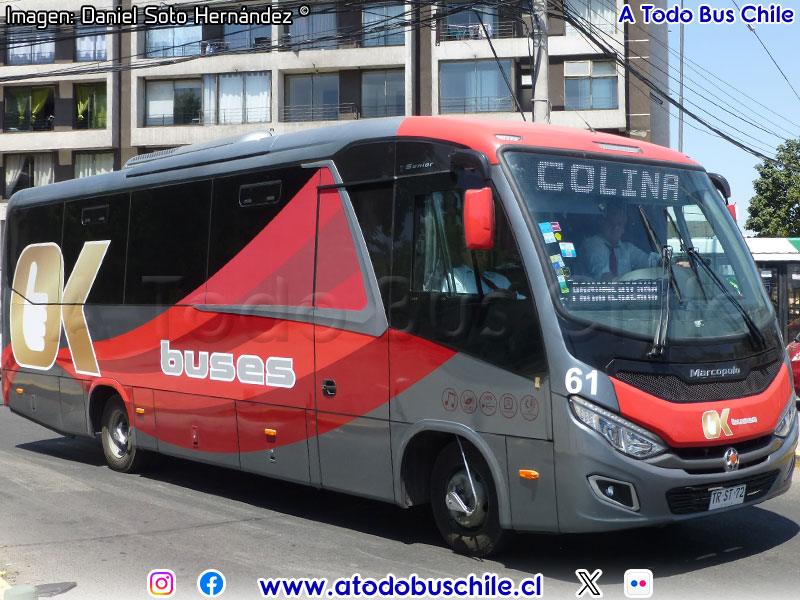 Marcopolo Senior / Mercedes Benz LO-916 BlueTec5 / OK Buses