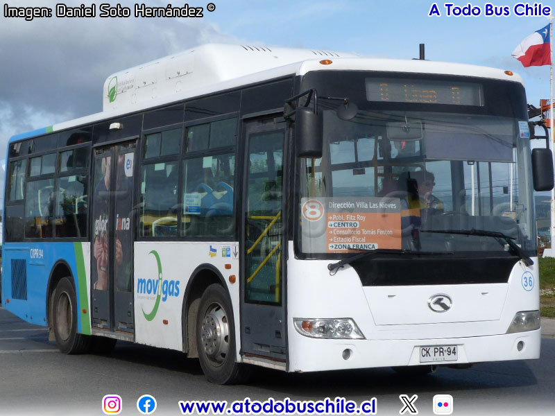 King Long XMQ6891G / Movigas S.A. Línea Nº 8 Punta Arenas