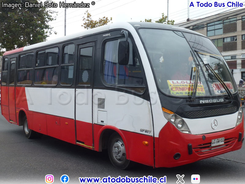 Neobus Thunder + / Mercedes Benz OF-917 BlueTec5 / Buses Nuevo Amanecer S.A. (San Antonio)