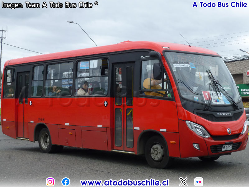 Marcopolo Senior / Mercedes Benz LO-916 BlueTec5 / Línea N° 1 Valdivia