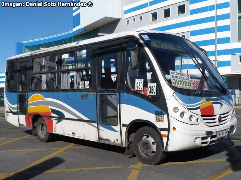 Neobus Thunder + / Mercedes Benz LO-712 / Línea N° 1 TransMontt S.A. (Puerto Montt)