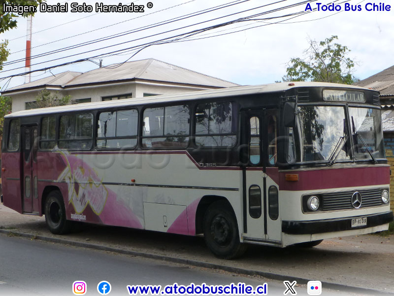 Mercedes Benz O-365 / Particular
