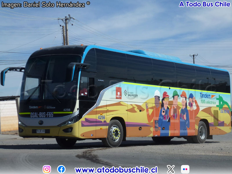 Yutong T132BEV / Tandem (Al servicio de CODELCO División El Salvador)