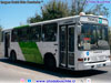 Neobus Mega / Mercedes Benz OH-1420 / Servicio Troncal 303