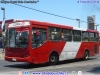Induscar Caio Apache S21 / Mercedes Benz OH-1420 / Servicio Alimentador B-03