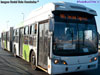 Induscar Caio Mondego LA / Volvo B-9SALF / Servicio Troncal 219e