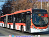Marcopolo Torino Low Entry / Mercedes Benz O-500UA-2836 BlueTec6 / Servicio Troncal 401 (T1401)
