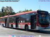 Marcopolo Torino Low Entry / Mercedes Benz O-500UA-2836 BlueTec6 / Servicio Troncal 405