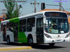Marcopolo Gran Viale / Volvo B-7R-LE / Servicio Troncal 409