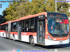 Marcopolo Torino Low Entry / Mercedes Benz O-500UA-2836 BlueTec6 / Servicio Troncal 401