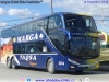 Niccolo New Concept 2250 Isidro / Mercedes Benz O-500RSD-2441 BlueTec5 / MARGA TAQSA (Argentina)