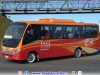 Zhong Tong Triumph LCK6850D Euro5 / Transportes Imperio (Servicio Puerto Montt - Aeropuerto Internacional El Tepual)