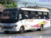 Zhong Tong Triumph LCK6780D Euro5 / Pullman Bus Curacaví