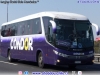 Marcopolo Viaggio G7 1050 / Scania K-380B / Cóndor Bus