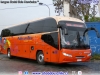 Youngman Starliner JNP6126L / Pullman Bus Costa Central S.A.