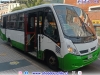 Neobus Thunder + / Mercedes Benz LO-915 / TMV 2 Viña Bus S.A.