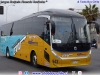 Zhong Tong LCK6129H EVG / Transportes CVU