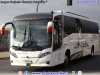 Busscar Vissta Buss 340 / Scania K-360B eev5 / Transportes Felcotur