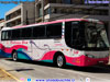Busscar El Buss 340 / Mercedes Benz O-400RSE / Particular