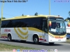 Marcopolo Ideale 770 / Volksbus 16-230OT Euro5 / Buses Jordan
