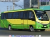 Mascarello Gran Micro / Mercedes Benz LO-916 BlueTec5 / Agdabus S.A. Servicio Bus + Metro La Calera - Limache