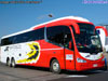 Irizar i6 3.90 / Mercedes Benz O-500RSD-2442 / SRT Transportes Cielo