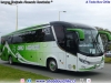 Comil Campione Invictus 1050 / Scania K-360B eev5 / Transportes Oro Verde