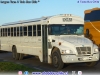 Blue Bird BBCV3310A / Buses Manterola