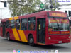 Induscar Caio Mondego H / Mercedes Benz O-500U-1726 / Colegio María Inmaculada (El Bosque - Santiago)