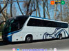 Marcopolo Viaggio G7 1050 / Scania K-360B / Buses Reyes