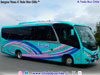 Marcopolo Senior / Mercedes Benz LO-916 BlueTec5 / Turismo Antihual