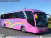 Neobus New Road N10 360 / Scania K-360B / Transportes Cordero